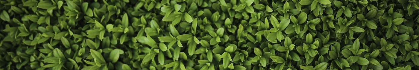 Garden Tools banner image