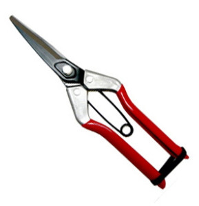 210MM LONG BLADE FRUIT PRUNER