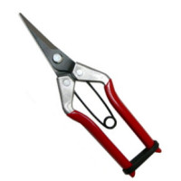 180MM POINTED BLADE FRUIT PRUNER