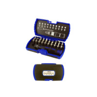 22PCS PRECISION BIT SET