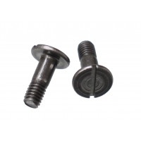 GEAR SCREW