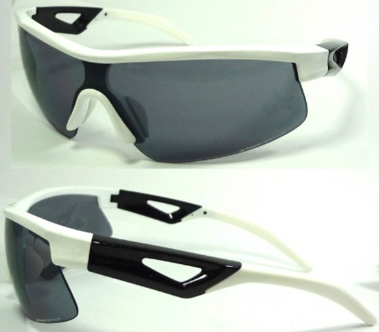 PGB286 POLARIZED GLASSES