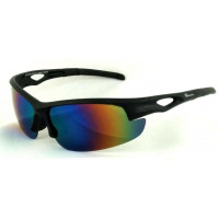 POLARIZED GLASSES