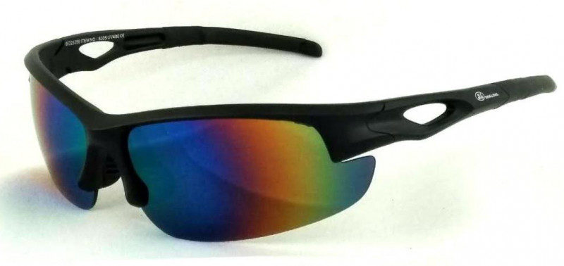 POLARIZED GLASSES