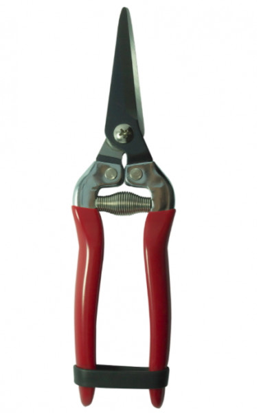 FRUIT/FLORAL PRUNING SHEARS