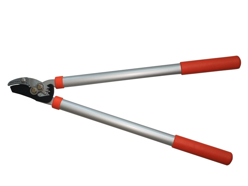 63.1CM ANVIL LOPPER HEAD     