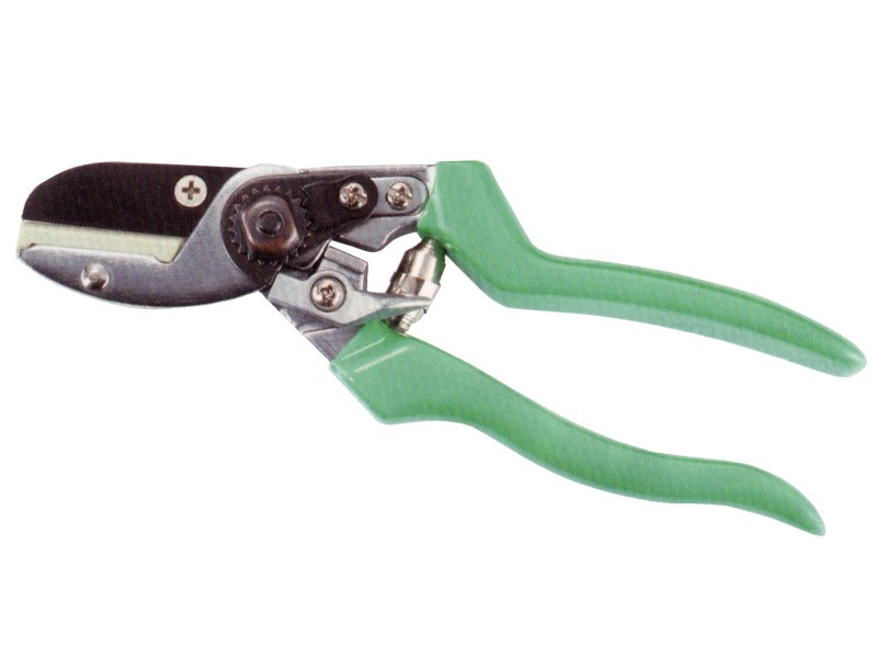 ANVIL PRUNING SHEARS - 8"